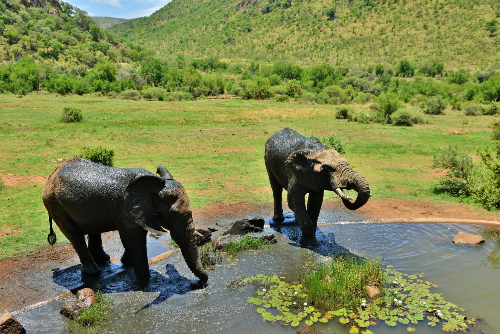Kwa Maritane Lodge Ледиг Экстерьер фото