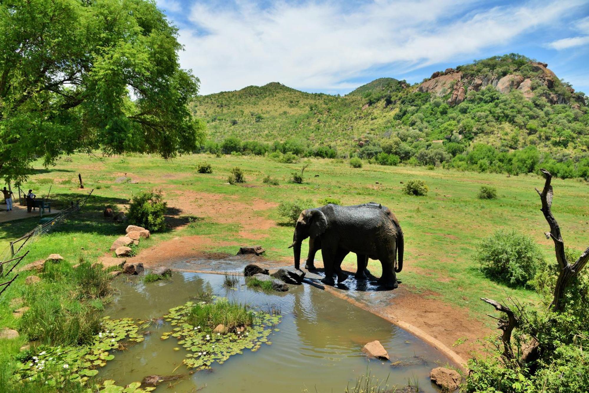 Kwa Maritane Lodge Ледиг Экстерьер фото