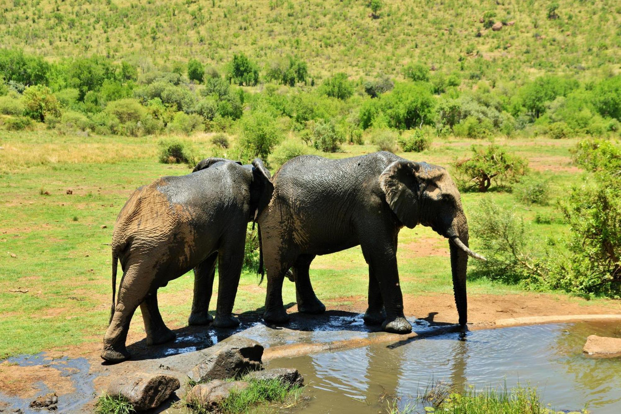 Kwa Maritane Lodge Ледиг Экстерьер фото