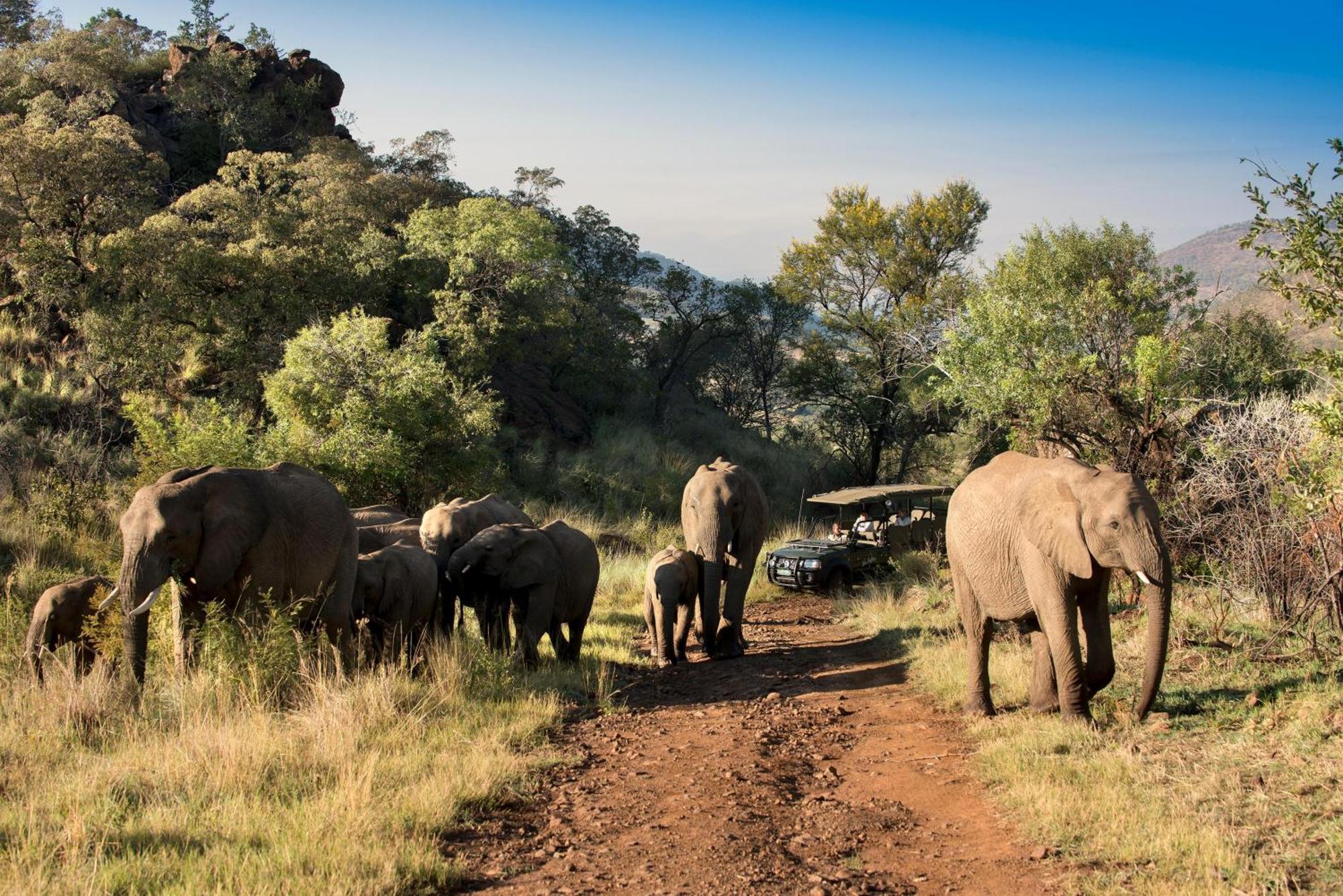 Kwa Maritane Lodge Ледиг Экстерьер фото